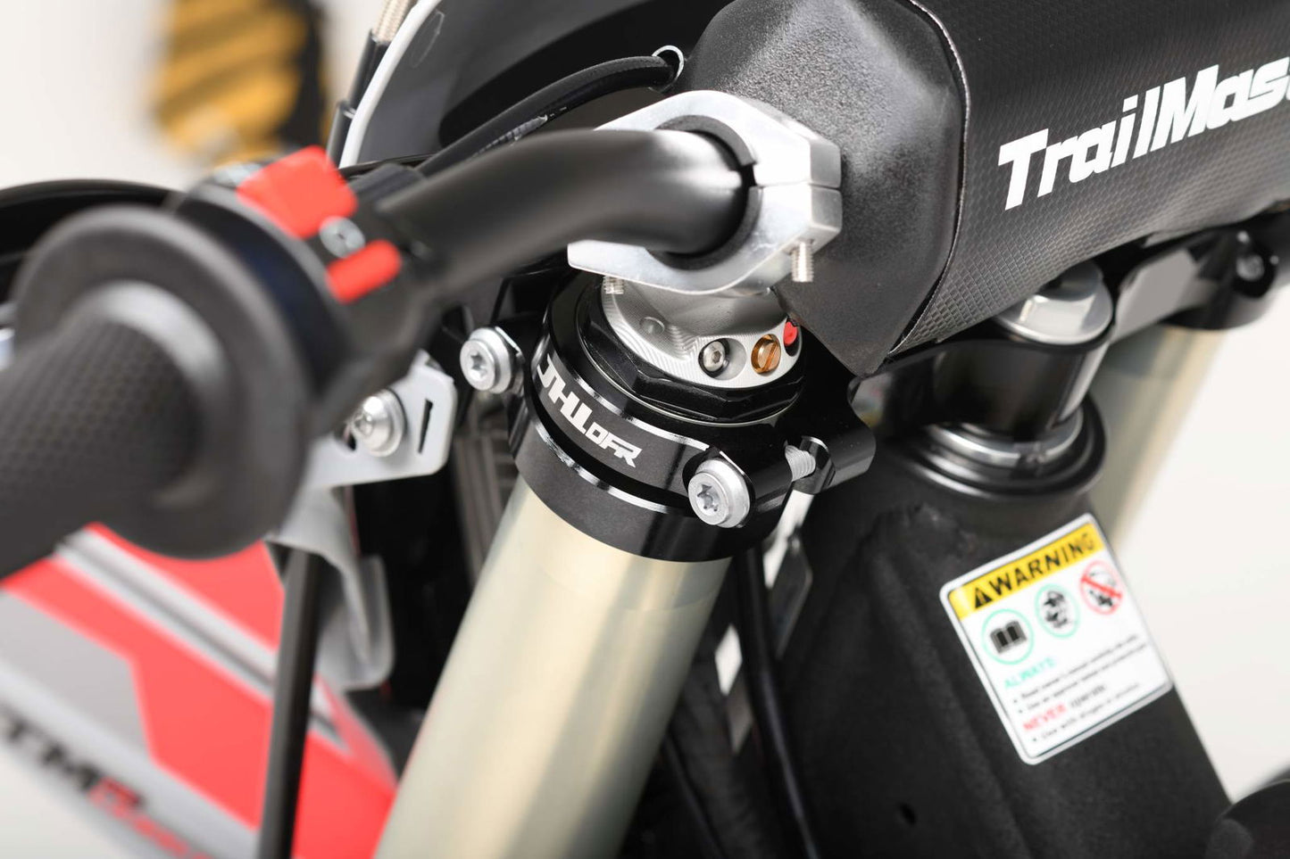 TrailMaster LX300-Pro Dirt Bike, NC300 EFI Racing Engine, Liquid-Cooled, 6-Speed Manual, Dual Disc Brakes, Electric Start with Kick backup, Billet Wheels (21/18)