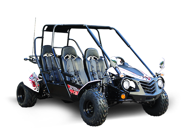 Blazer4 200EX EFI 4-Seater Buggy Go Kart, Extended Cab