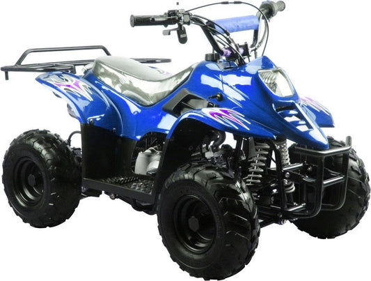 TrailMaster Mini Sport ATV 110, Gas Engine with Remote Start/Kill, Speed Governor, 6-inch Wheels