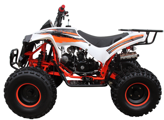 Coolster (3125B2) 125cc Sport ATV, Electric Start, Automatic with Reverse, 8-inch Steel Wheels, Ages 9-12