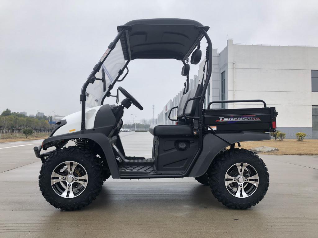 TrailMaster Taurus 200E-U EFI Gas UTV Shaft Drive, High/Low Gear Alloy Wheels, Fuel Injected