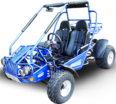 300E XRS (EFI) Dune Buggy Go Kart, Liquid Cooled, Chain Drive