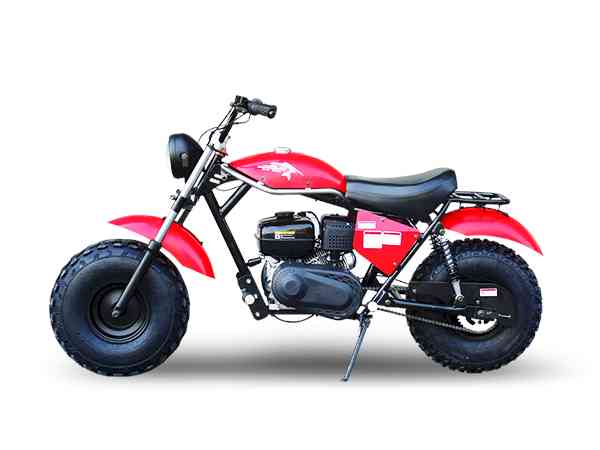 Minibike