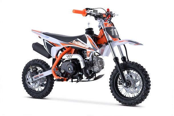 TrailMaster TM10 110cc Dirt Bike 4-Speed Auto Clutch, Dual Disc (10/10), Ages 8-12