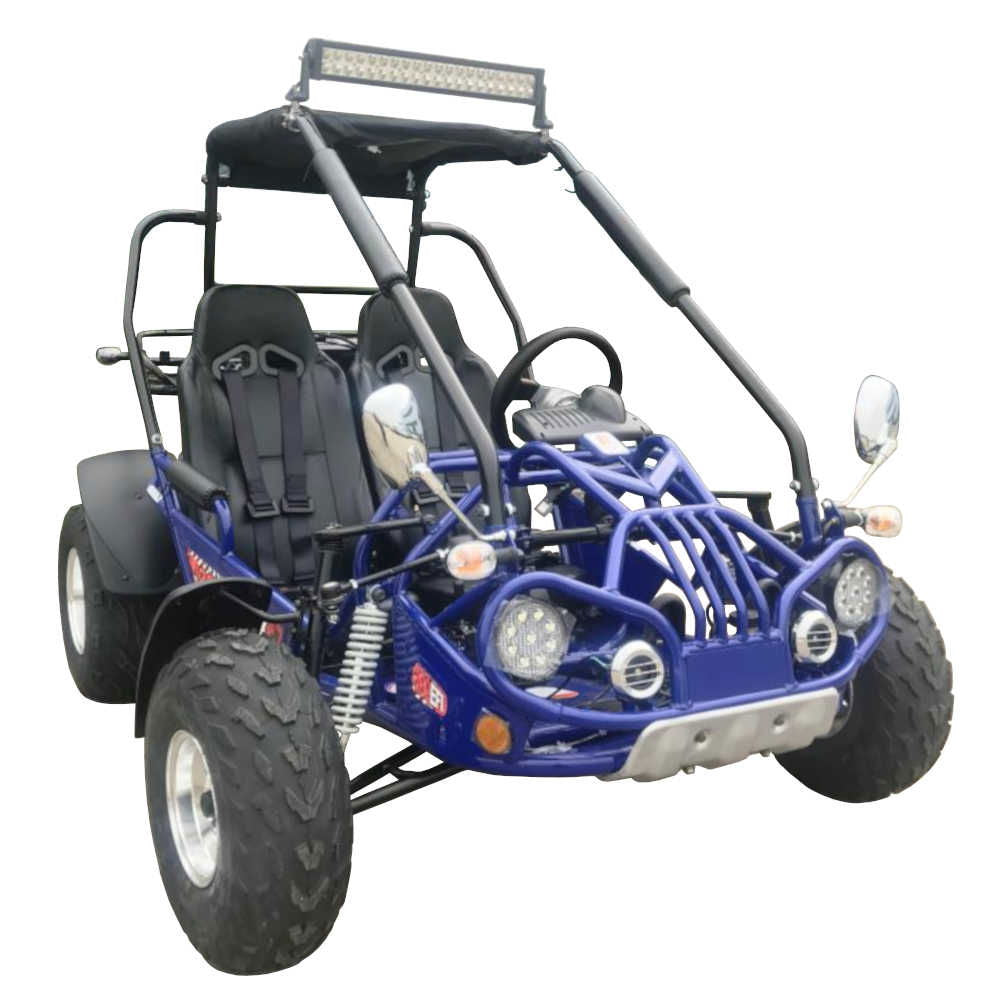 200E XRX (EFI) Fuel Injection Deluxe Buggy Go Kart, Alloy Wheels, Lights, Turn Signals