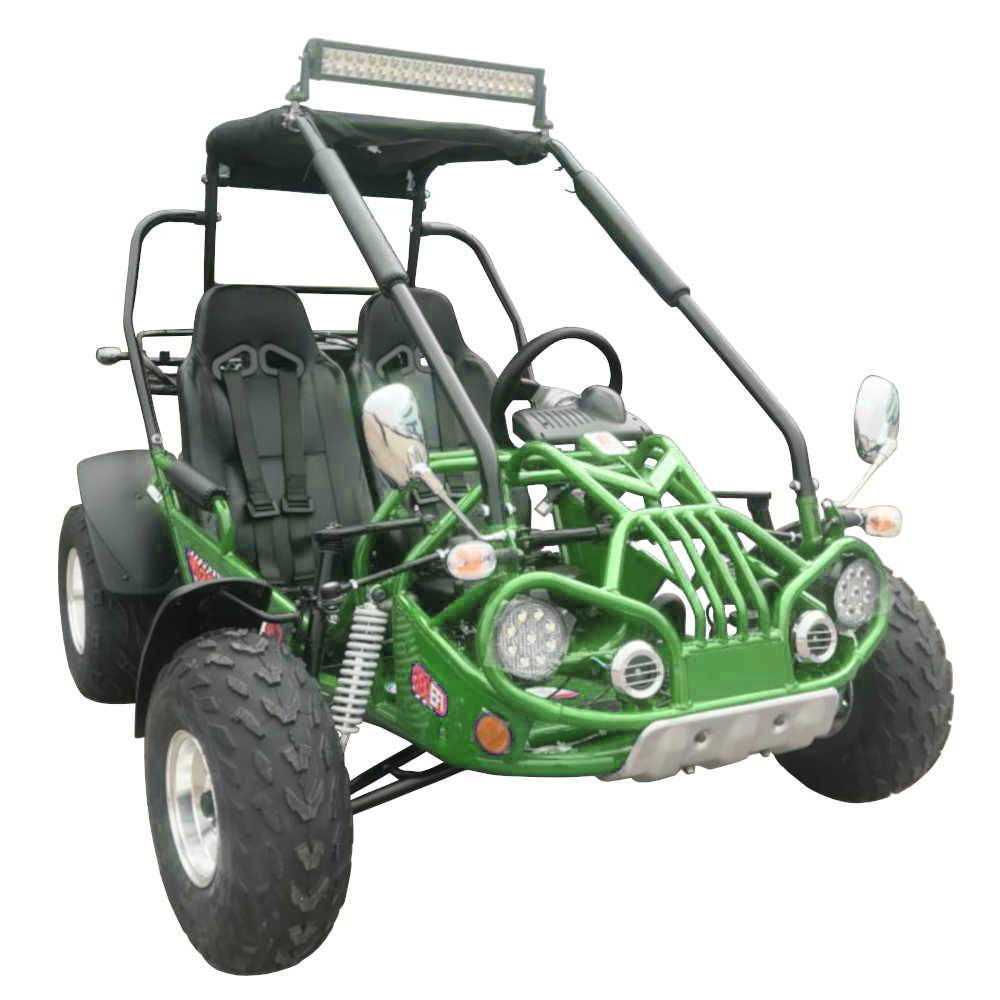 200E XRX (EFI) Fuel Injection Deluxe Buggy Go Kart, Alloy Wheels, Lights, Turn Signals