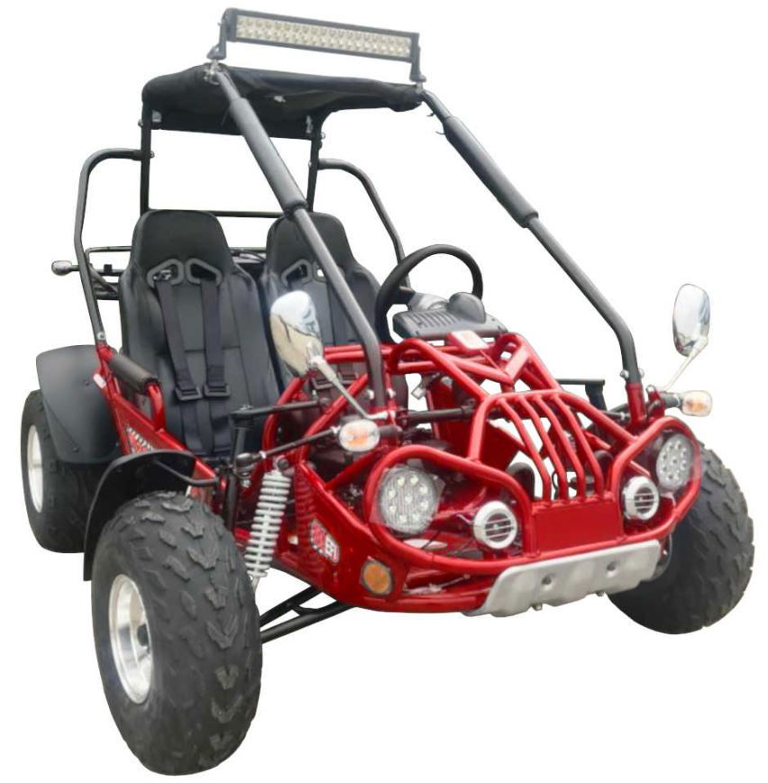 200E XRX (EFI) Fuel Injection Deluxe Buggy Go Kart, Alloy Wheels, Lights, Turn Signals