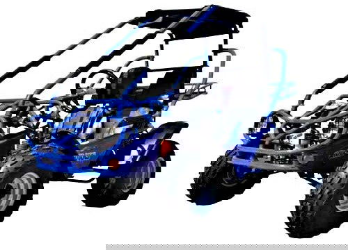 Trailmaster 200 XRS Buggy Go Kart CVT Auto with Reverse, Number One Go Kart Nationwide