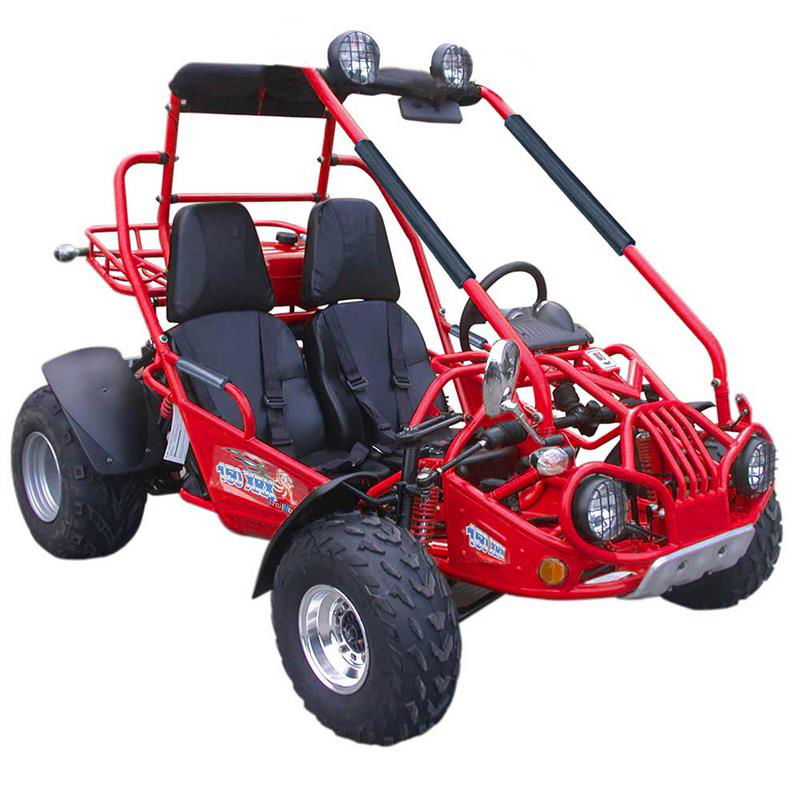 TrailMaster 200 XRX Deluxe Buggy Go Kart, Alloy Wheels, Lights, Turn Signals