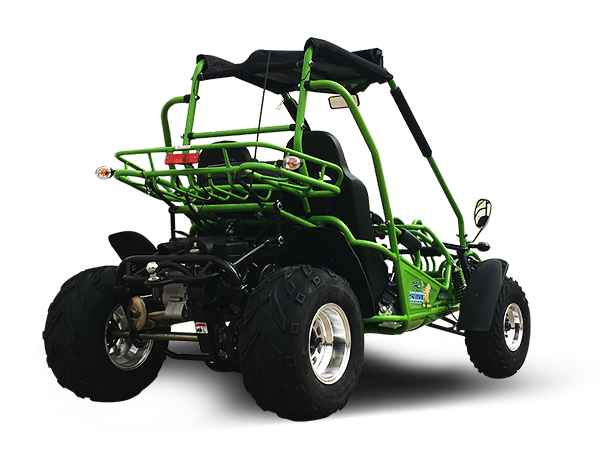 TrailMaster 200 XRX Deluxe Buggy Go Kart, Alloy Wheels, Lights, Turn Signals