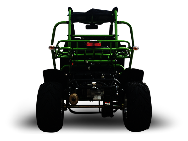 TrailMaster 200 XRX Deluxe Buggy Go Kart, Alloy Wheels, Lights, Turn Signals