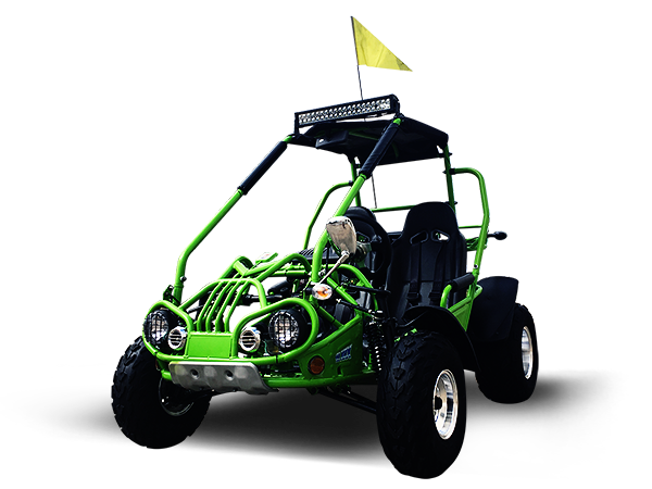 TrailMaster 200 XRX Deluxe Buggy Go Kart, Alloy Wheels, Lights, Turn Signals