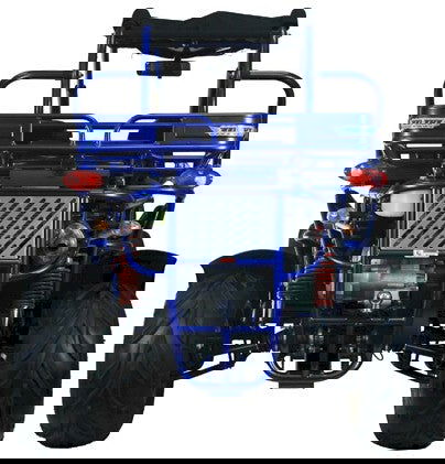 300 XRX-E Dune Buggy Go Kart, EFI Fuel Injected, Liquid Cooled, Shaft Drive, Alloy Wheels