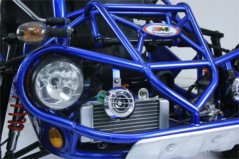 300 XRX-E Dune Buggy Go Kart, EFI Fuel Injected, Liquid Cooled, Shaft Drive, Alloy Wheels