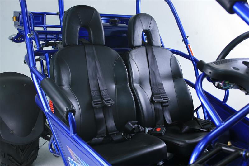 300 XRX-E Dune Buggy Go Kart, EFI Fuel Injected, Liquid Cooled, Shaft Drive, Alloy Wheels