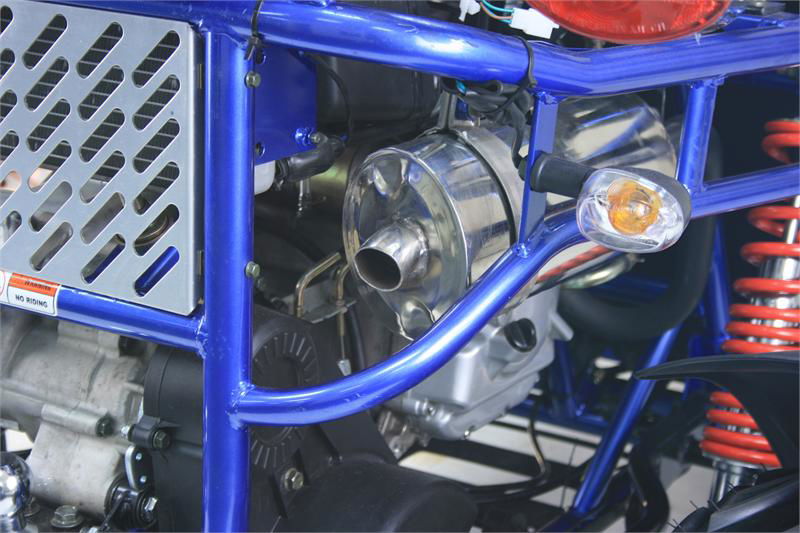 300 XRX-E Dune Buggy Go Kart, EFI Fuel Injected, Liquid Cooled, Shaft Drive, Alloy Wheels