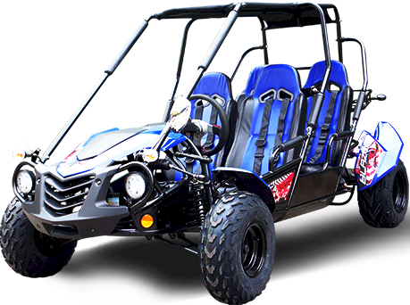 Blazer4 200EX EFI 4-Seater Buggy Go Kart, Extended Cab