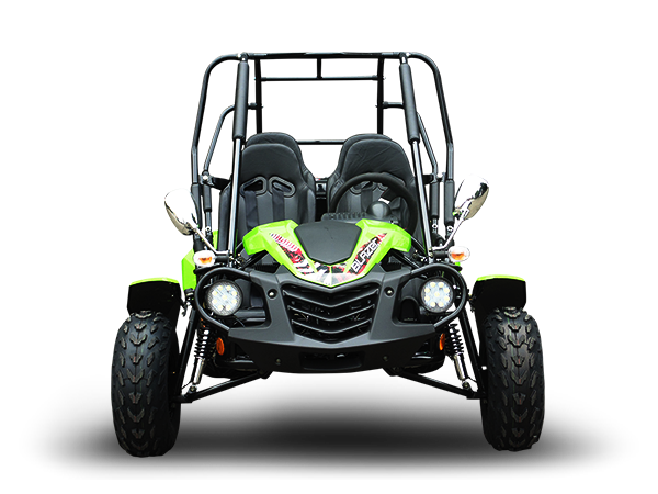 Blazer4 200EX EFI 4-Seater Buggy Go Kart, Extended Cab