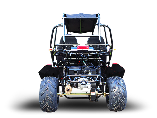 Blazer4 200EX EFI 4-Seater Buggy Go Kart, Extended Cab