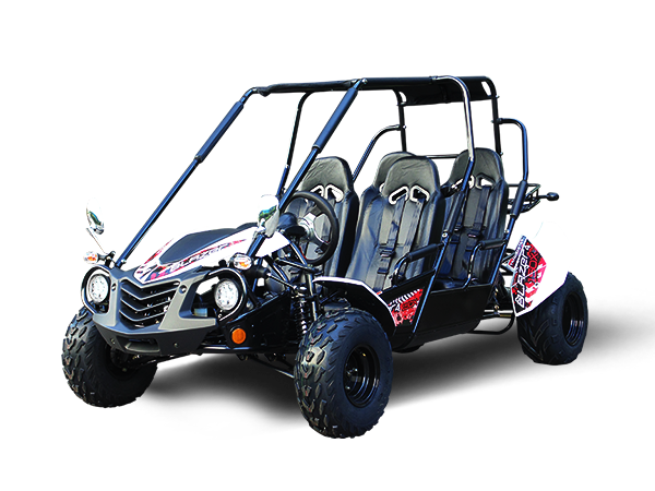 Blazer4 200EX EFI 4-Seater Buggy Go Kart, Extended Cab