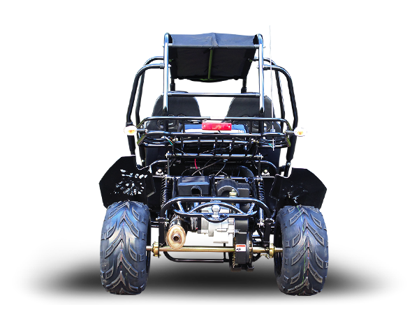 Blazer4 200EX EFI 4-Seater Buggy Go Kart, Extended Cab