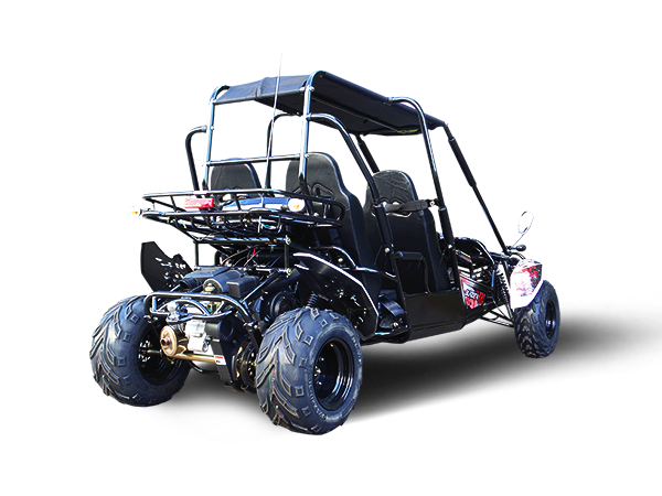 Blazer4 200EX EFI 4-Seater Buggy Go Kart, Extended Cab