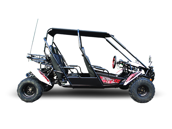 Blazer4 200EX EFI 4-Seater Buggy Go Kart, Extended Cab