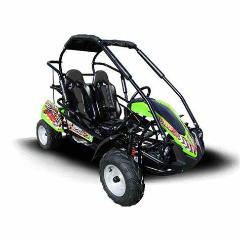 Blazer 200R MID-Size Go Kart, 7hp Torque Converter, Electric Start Reverse, Kids Ages 7-12