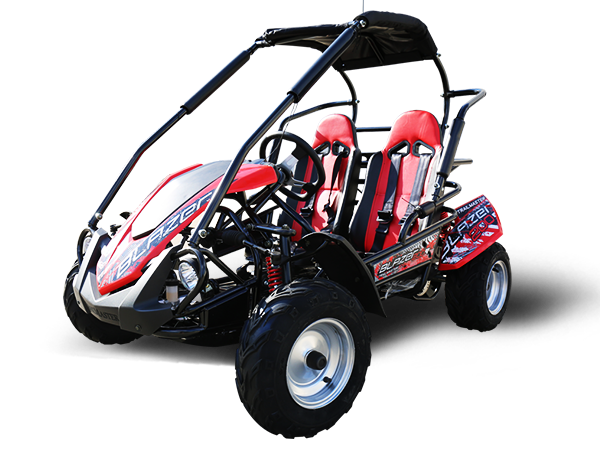 Blazer 200R MID-Size Go Kart, 7hp Torque Converter, Electric Start Reverse, Kids Ages 7-12