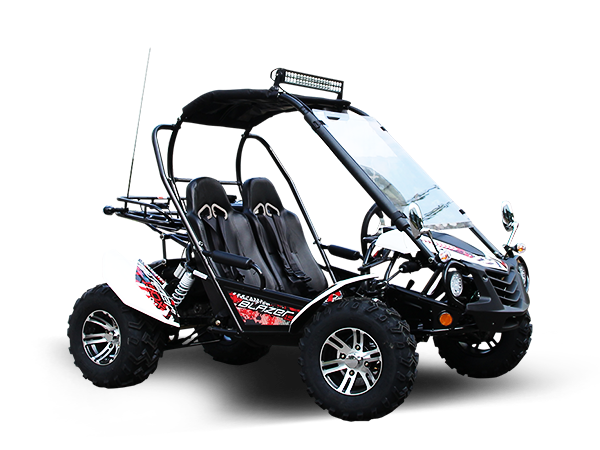 Blazer 200EX EFI Buggy Go Kart, LED Light Bar, Windshield Included