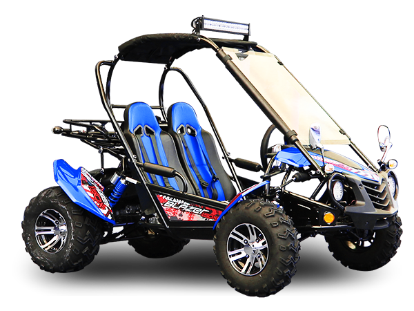 Blazer 200EX EFI Buggy Go Kart, LED Light Bar, Windshield Included