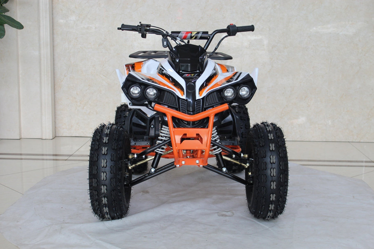 TrailMaster C125 125cc Sport ATV, Automatic with Reverse, 8 inch Wheels, Ages 12 and up