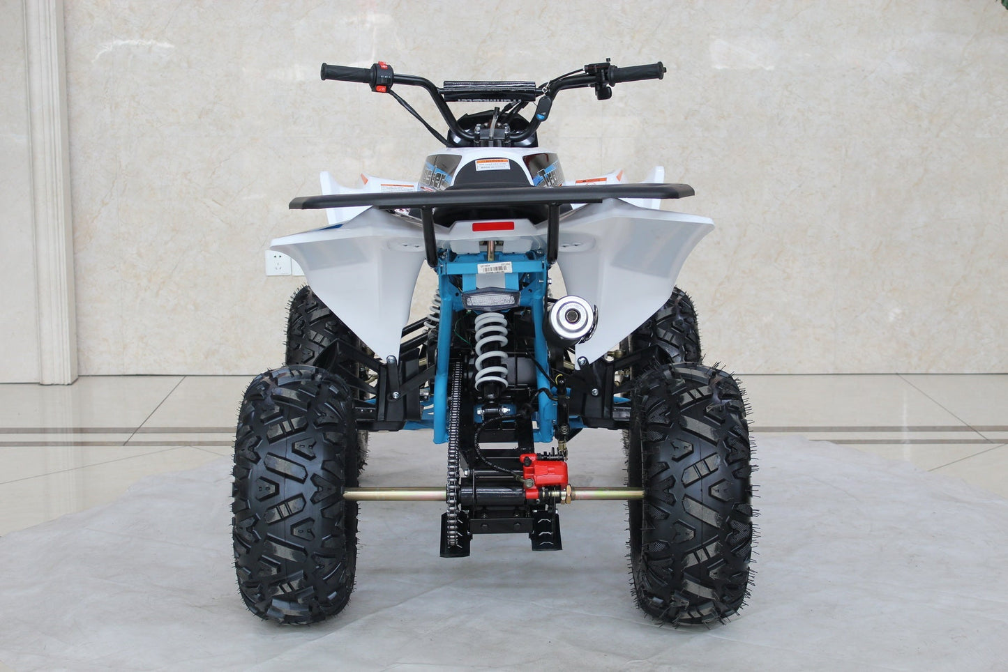 TrailMaster C125 125cc Sport ATV, Automatic with Reverse, 8 inch Wheels, Ages 12 and up