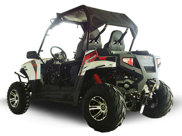 Challenger 300EX (EFI) UTV Side-by-Side, Shaft Drive with Independent Rear Suspension