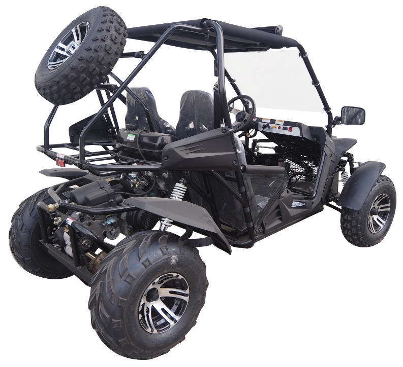 Cheetah 200X Go Kart (Special) CVT Automatic with Reverse, Alloy Wheels, Windshield