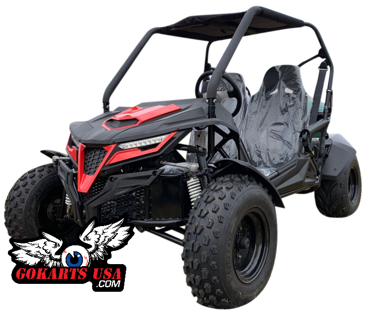 TrailMaster Cheetah 200 Full Size Buggy Go Kart, CVT Automatic with Reverse