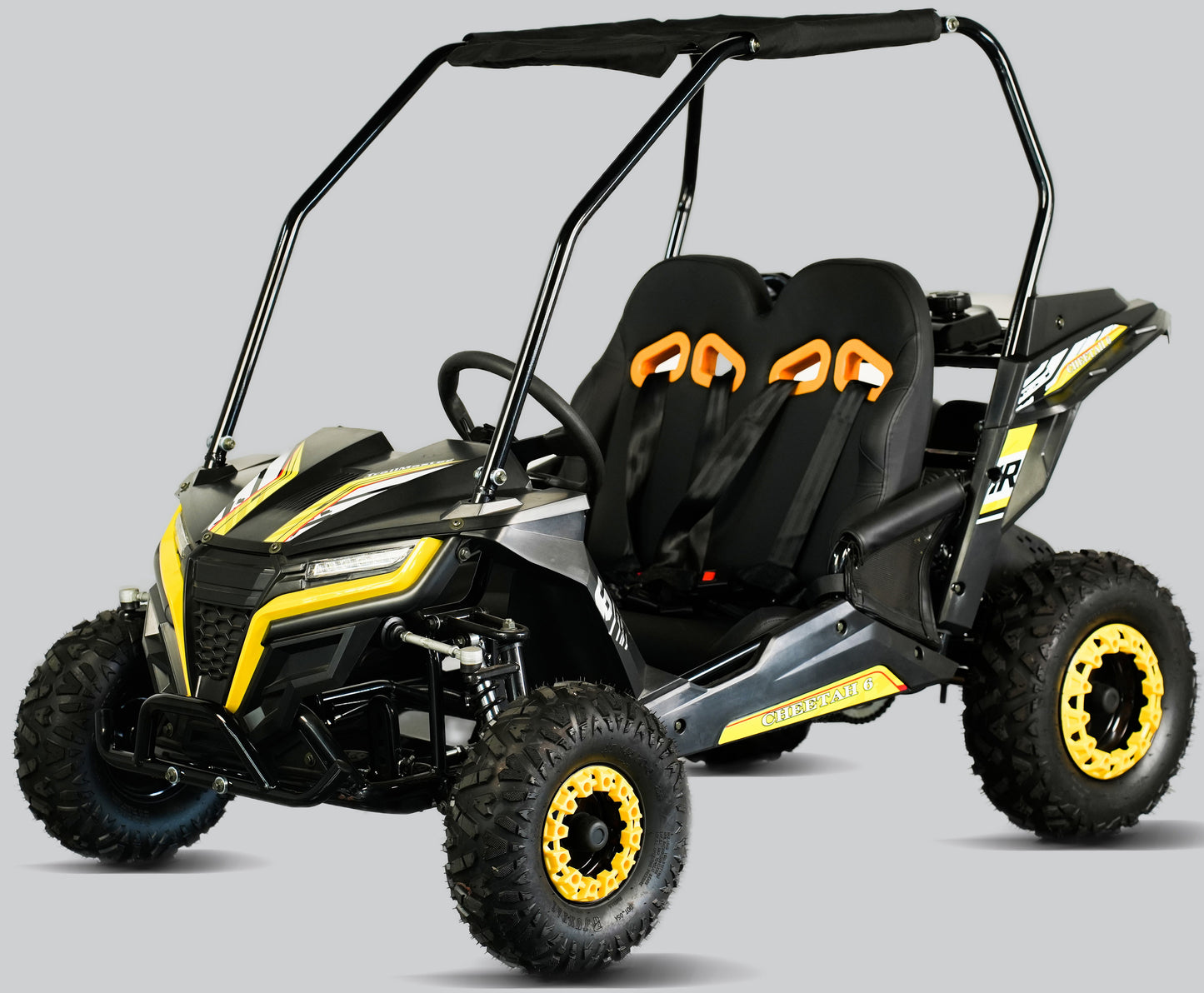 TrailMaster Cheetah-6 Go Kart, 5.5hp Electric Start, Remote Start/Kill with Reverse, Kids Ages 4-9