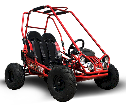 MINI XRX+ Kids GoKart, 5.5hp Gas Engine with Electric Start, Remote Start/Kill, Ages 4-9