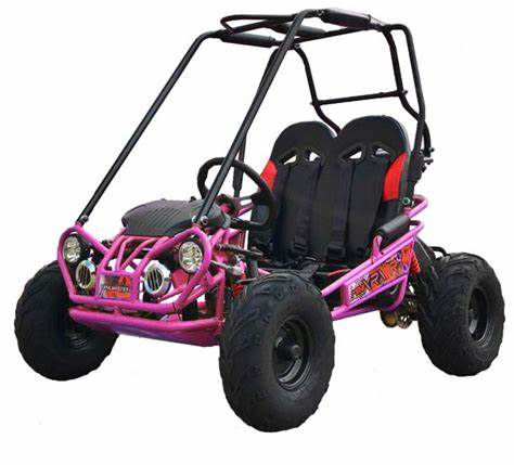 MINI XRX+ Kids GoKart, 5.5hp Gas Engine with Electric Start, Remote Start/Kill, Ages 4-9