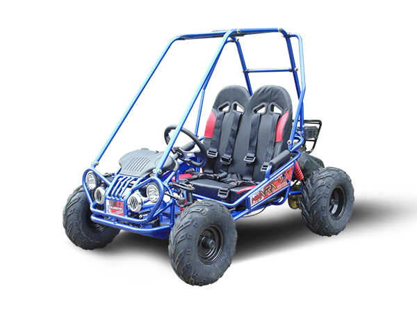 MINI XRX+ Kids GoKart, 5.5hp Gas Engine with Electric Start, Remote Start/Kill, Ages 4-9