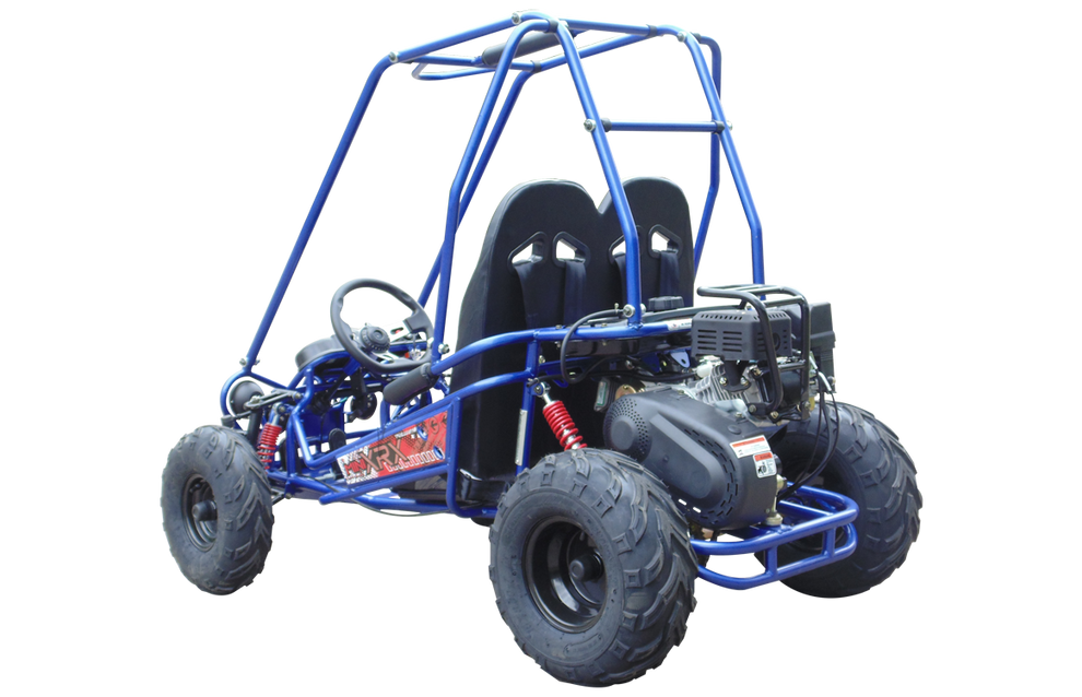 TrailMaster MINI XRX+ Kids Go Kart, 5.5hp Gas Engine with Electric Sta ...