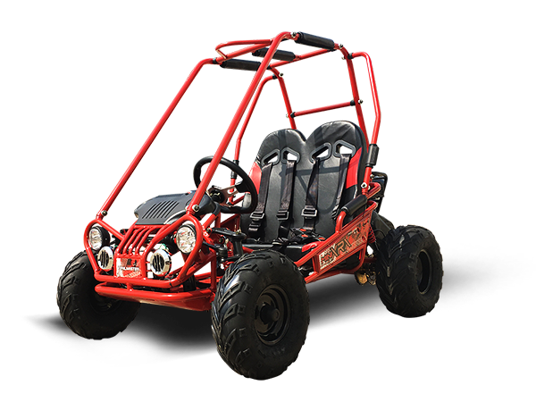 MINI XRX+ Kids GoKart, 5.5hp Gas Engine with Electric Start, Remote Start/Kill, Ages 4-9