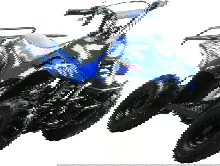 TrailMaster Mini Sport ATV 110, Gas Engine with Remote Start/Kill, Speed Governor, 6-inch Wheels