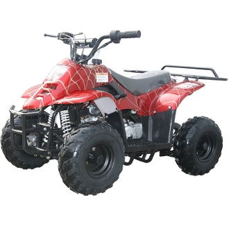 TrailMaster Mini Sport ATV 110, Gas Engine with Remote Start/Kill, Speed Governor, 6-inch Wheels