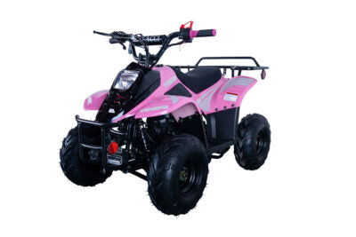TrailMaster Mini Sport ATV 110, Gas Engine with Remote Start/Kill, Speed Governor, 6-inch Wheels