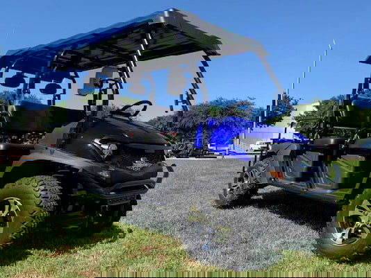 Taurus4 450GV Gas 6-Seat UTV, 4x4 High/Low Gear, Alloy Wheels