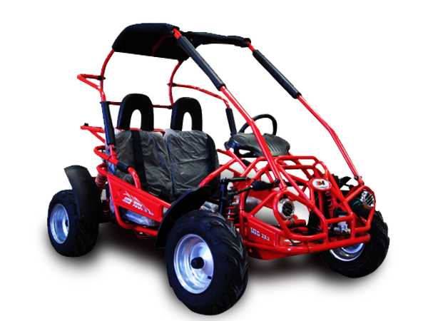 MID-Size XRX-R Go Kart, 196cc 6.5hp Torque Converter, Electric Start with Reverse, Kids Ages 7-12