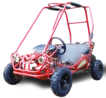 MINI XRS+ Kids Go Kart, 5.5hp Gas Engine, Dual Seats, Adjustable Pedals, Pull Start, Kids Ages 4-9