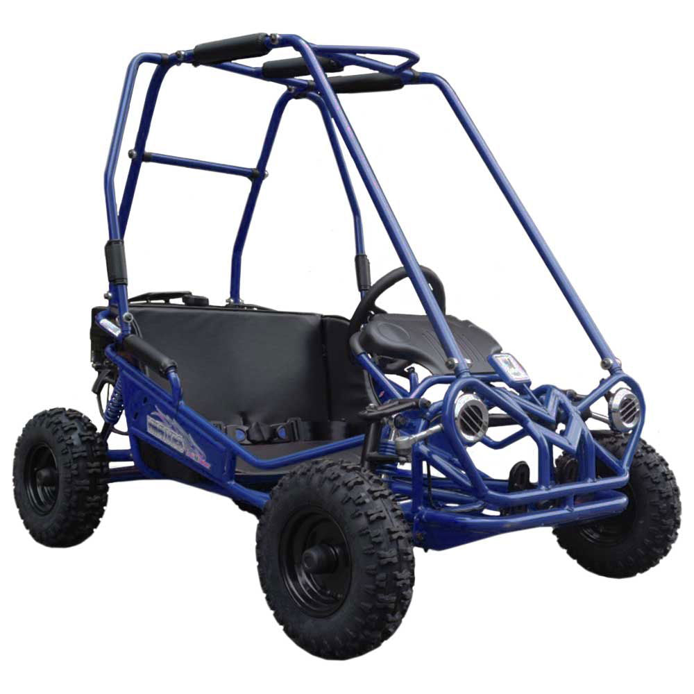 MINI XRS+ Kids Go Kart, 5.5hp Gas Engine, Dual Seats, Adjustable Pedals, Pull Start, Kids Ages 4-9