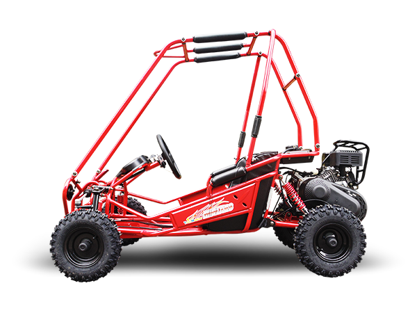 MINI XRS+ Kids Go Kart, 5.5hp Gas Engine, Dual Seats, Adjustable Pedals, Pull Start, Kids Ages 4-9